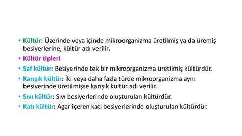  Nassula: Bu Gizemli Mikroorganizma Bir Tek Hücreyle Dünyayı Nasıl Keşfeder?