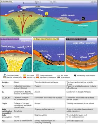  Veldworm:  Can You Imagine This Burrowing Beast Thriving Amidst the Deepest Seafloor Sediments While Simultaneously Building Elaborate Tubes for Shelter?