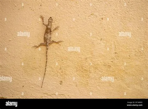  Wall Lizard: Can These Agile Lizards Conquer the Walls of Your Imagination?